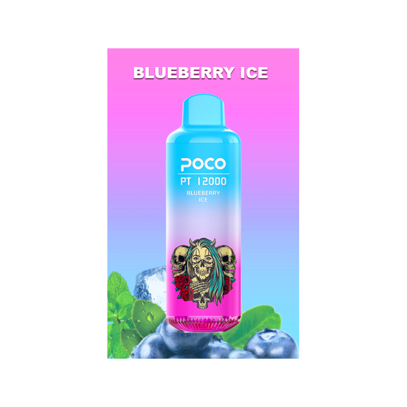 POCO PT 12000 Blueberry Ice 2%